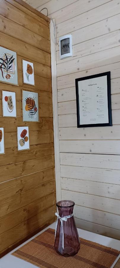 Cottage Toladi カズベギ エクステリア 写真
