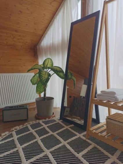 Cottage Toladi カズベギ エクステリア 写真
