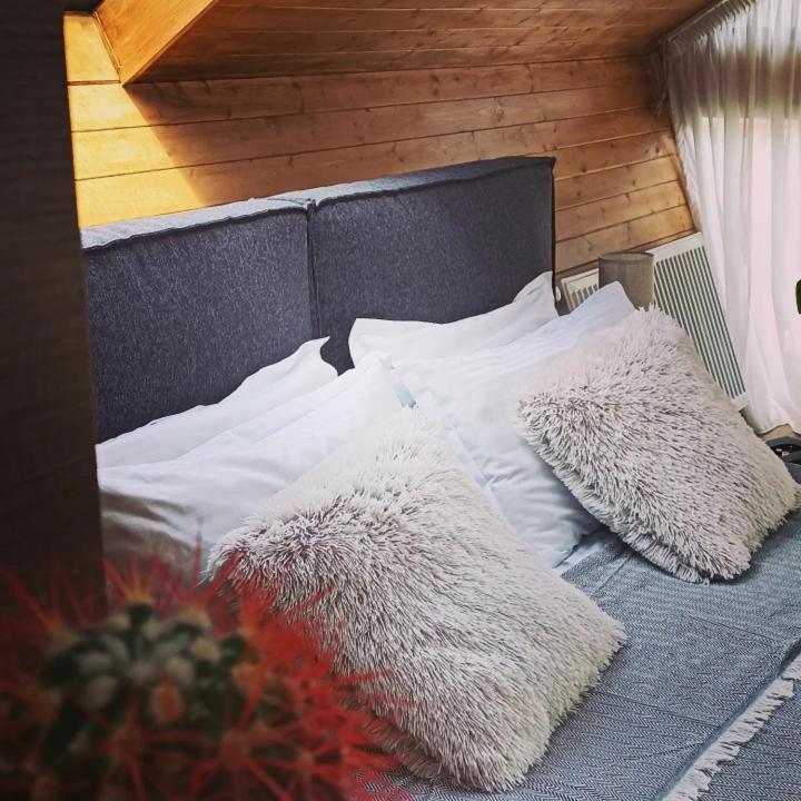 Cottage Toladi カズベギ エクステリア 写真